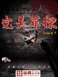 完美罪行2005