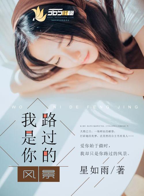 我是你路过的风景完整版