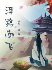 一路南飞