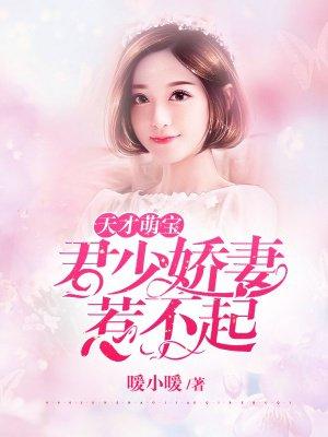 天才萌宝君少娇妻惹不起免费阅读正版