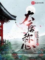 大唐情史称心和太子