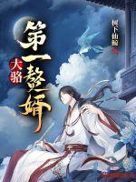 第一赘婿介绍
