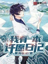 我有一本许愿日记作文
