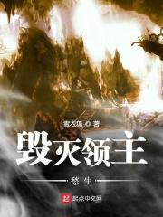 破坏领主湮灭流