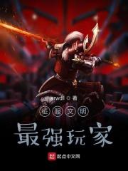 征服者与文明游戏