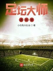 足球大师进化