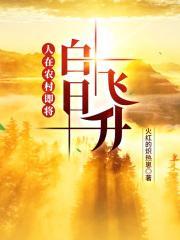 即将白日飞升
