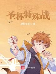 fate圣杯内容物