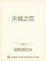 城之天新书