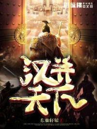 天下汉武