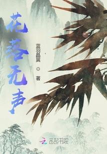花落无声歌曲的意思