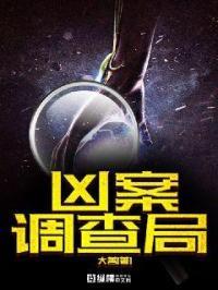 凶案侦查手记