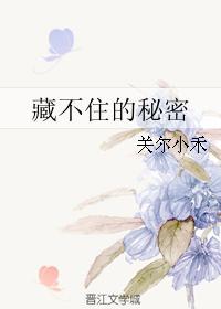 藏不住的秘密完整版