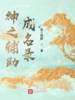 神辅助什么意思