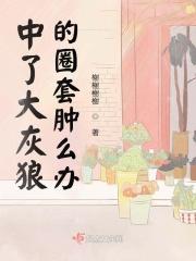 大灰狼是啥意思