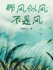 似风什么意思