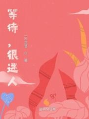 等待是一个很迷人的词英文