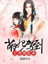 萌妃驾到王爷别乱来免费阅读全文