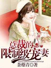 总裁的有限宠妻免费阅读厉