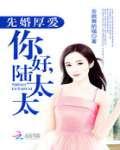 先婚厚爱陆谨言免费阅读