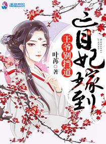 盲妃待嫁免费阅读全文