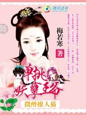 电视剧猫王妃