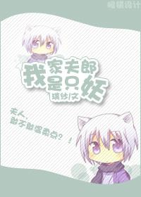 我家夫郎很全能无防盗