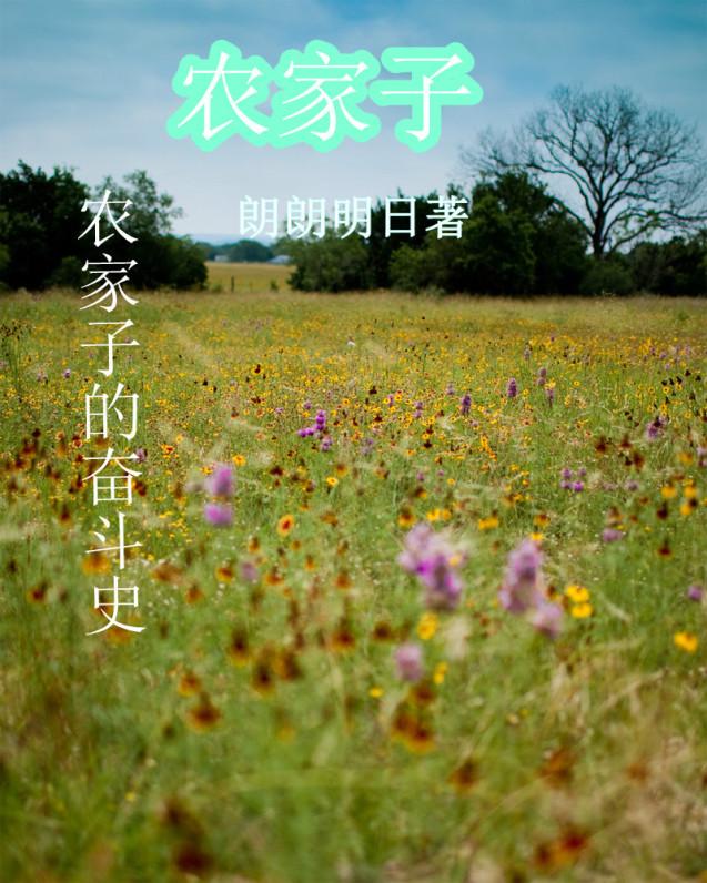 农家子的科举之路by仪过