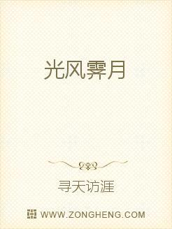 风光月霁还是光风霁月