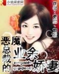 恶魔总裁的老婆