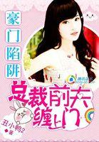 豪门掳情总裁前妻已改嫁