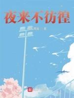 夜来夜往