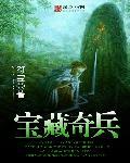 宝藏奇兵小问合集
