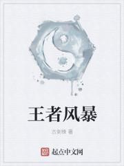 王者风暴上海游奇