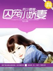 眷恋调皮妻免费