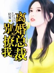 总裁离婚就离婚全文