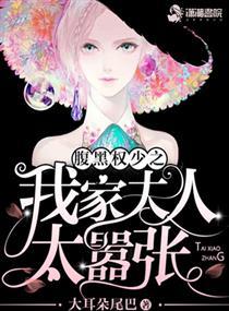 公子至我家