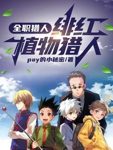 全职猎人吗