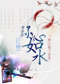 红楼之环绕君心txt