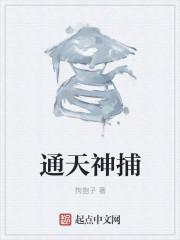 通天神捕TXT精校全本阅读