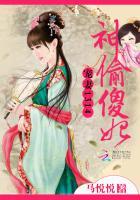 神偷傻妃全本免费阅读