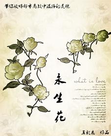 永生花复盘解析