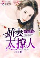 老婆大人我错了txt