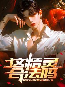 这精灵合法吗txt百度