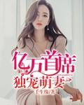 亿万总裁独宠萌妻