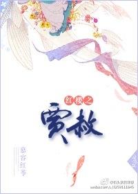 红楼之贾赦长子