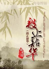 段止韶华百度TXT