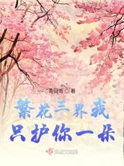 繁花三千不及你免费阅读