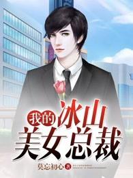 我的冰山美女总裁沈浪