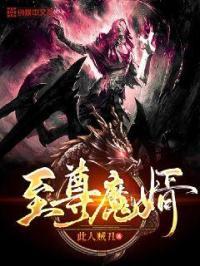 至尊丐婿全集